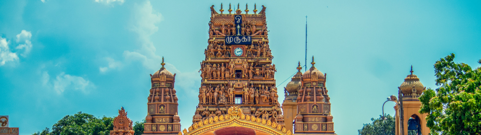 Flights to Sri Lanka