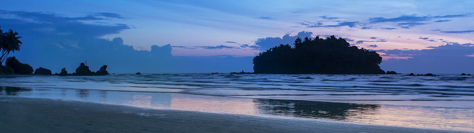 Flights to Kannur