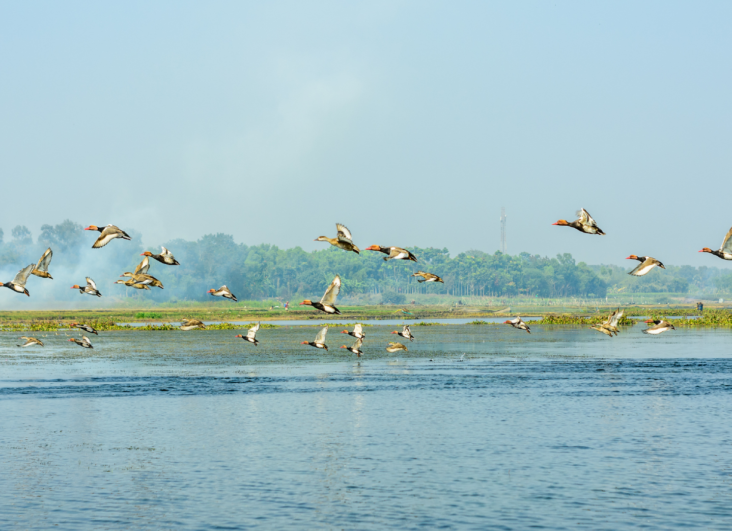 Flights to Noida